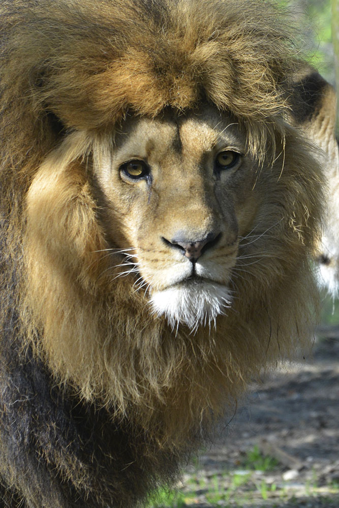 Workshop Giardino zoologico Pistoia