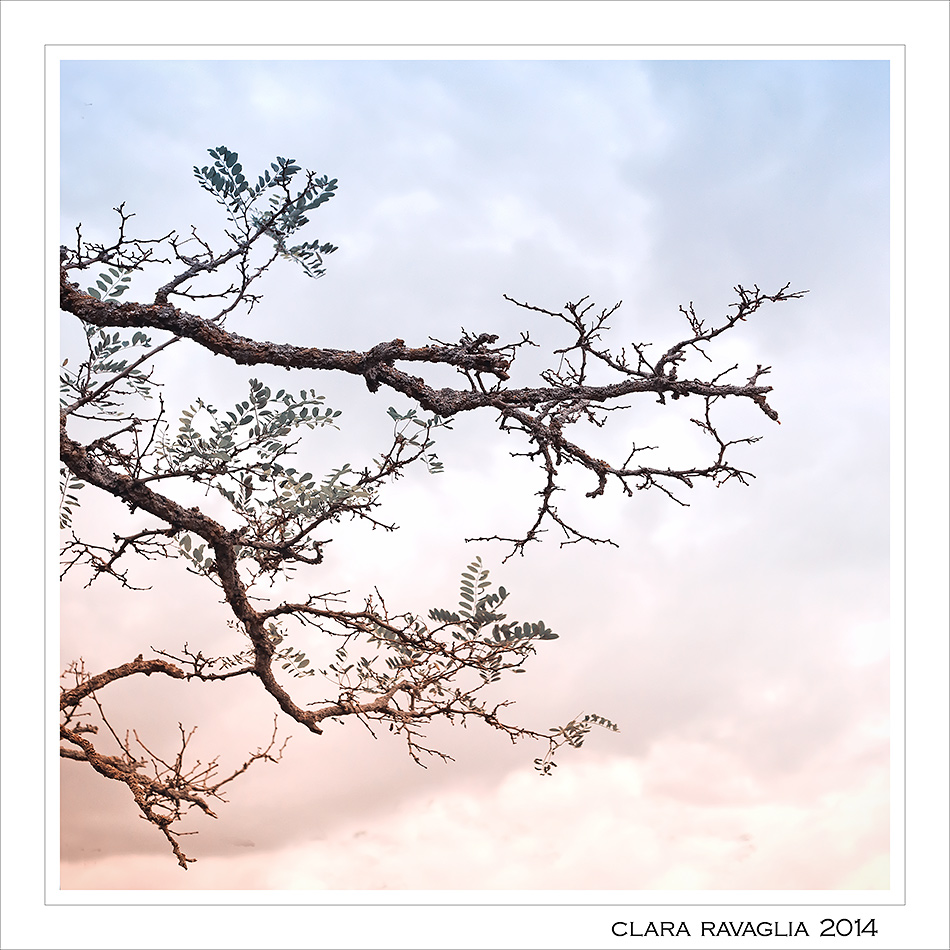 Ricami... per il cielo