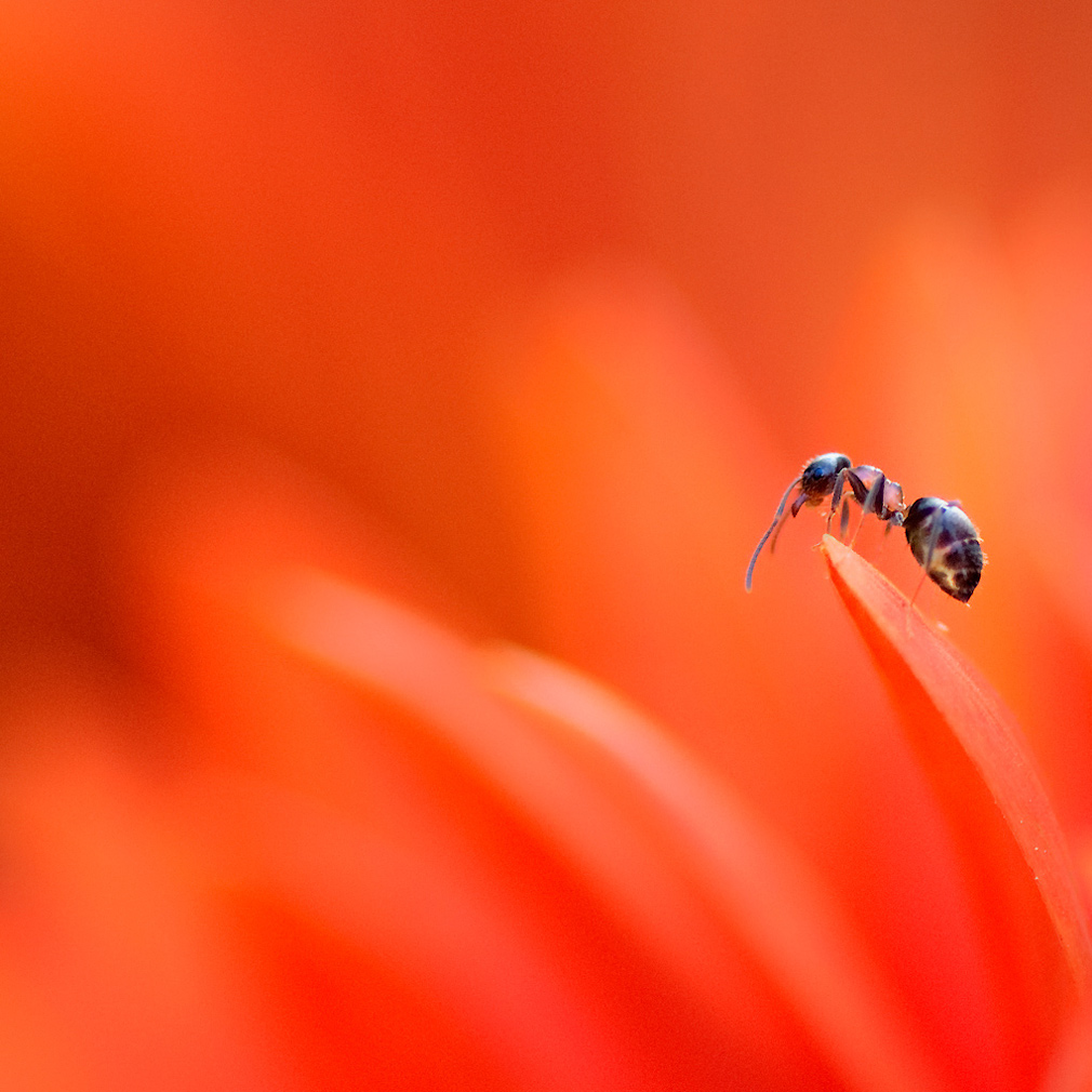 il suo mondo dall'alto..