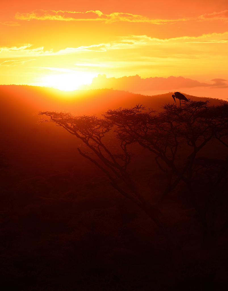 Un altro giorno finisce in Tanzania