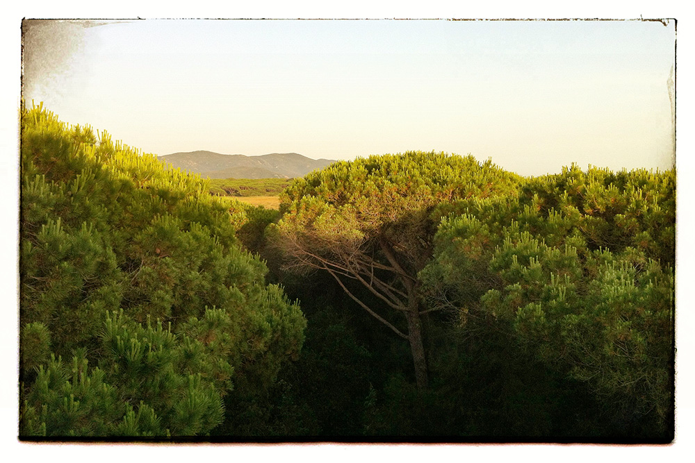 Impressioni di maremma