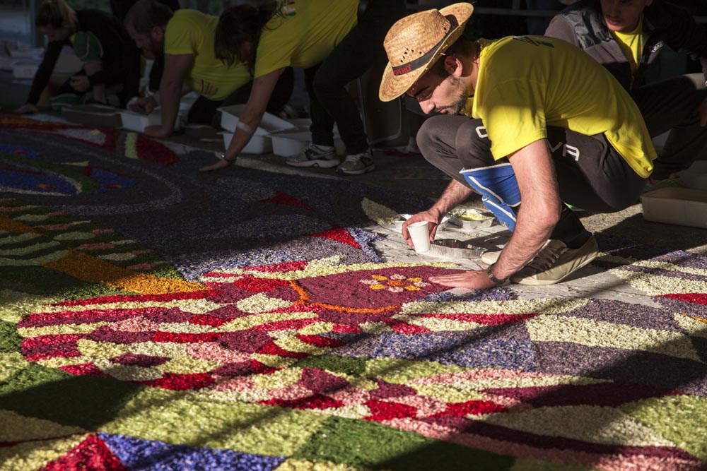 Infiorata 13