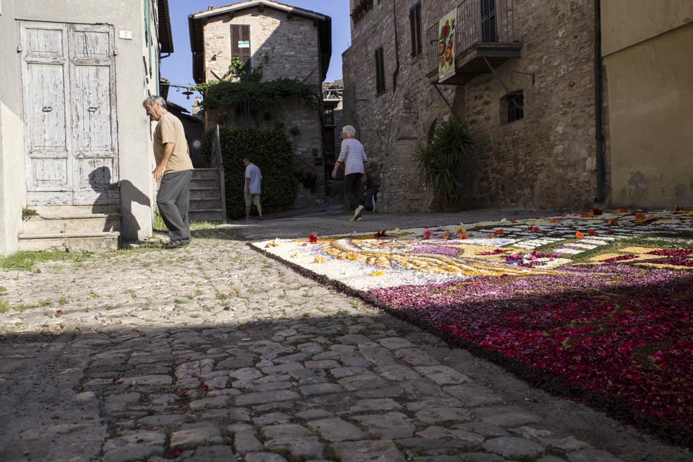 Infiorata 12