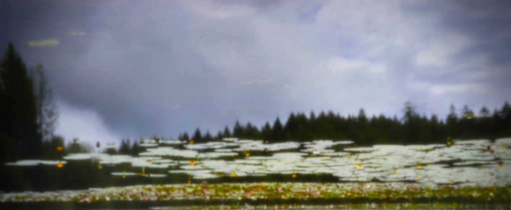 Mondo capovolto #pinhole#