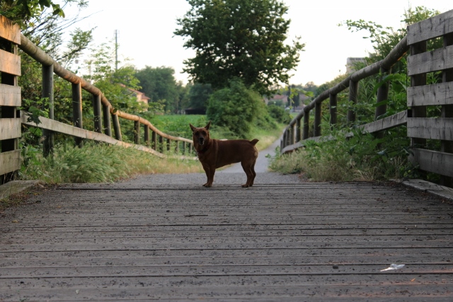 insomma... ti devo sempre aspettare