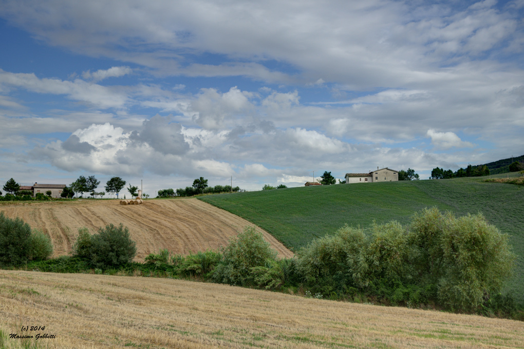 Campagna marchigiana a Luglio