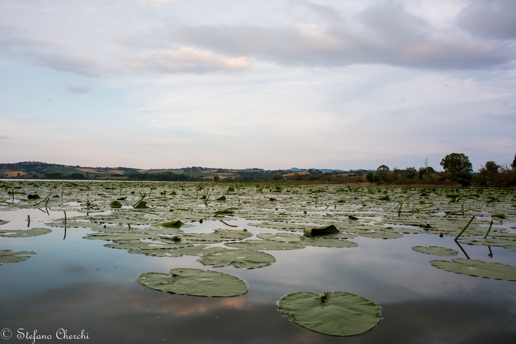 Oriente in toscana