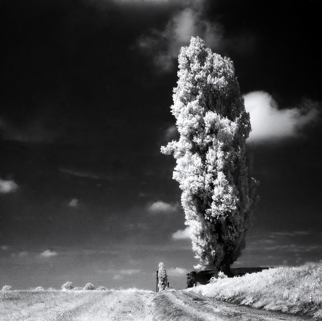 contest " Paesaggio minimalista in bianco e nero " ;/)