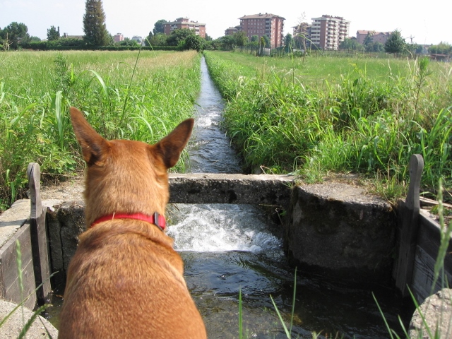 uno sguardo sulla chiusa