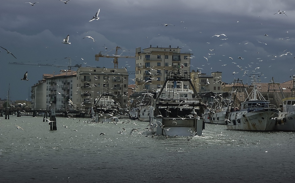 Chioggia, arrivano i pescherecci....