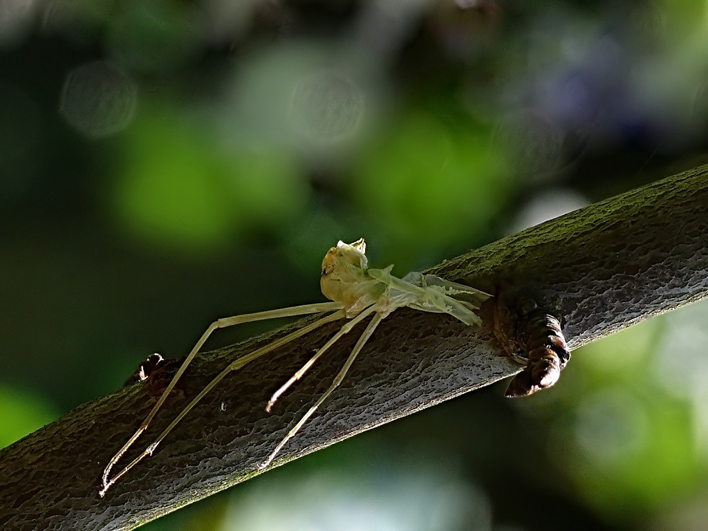 *** Vuoto a perdere ***