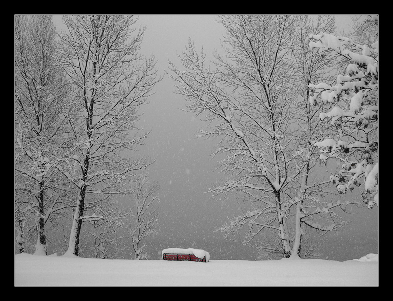 anche le panchine vanno in letargo?