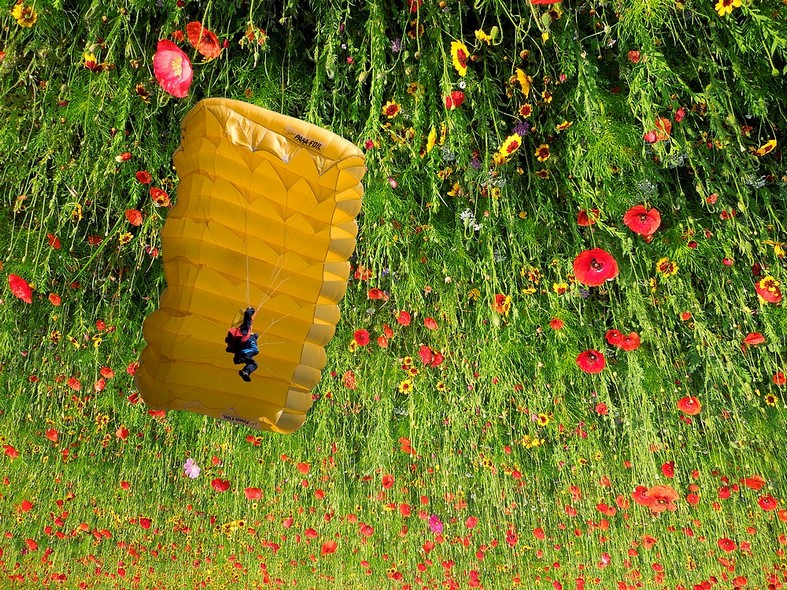 un mondo diverso....