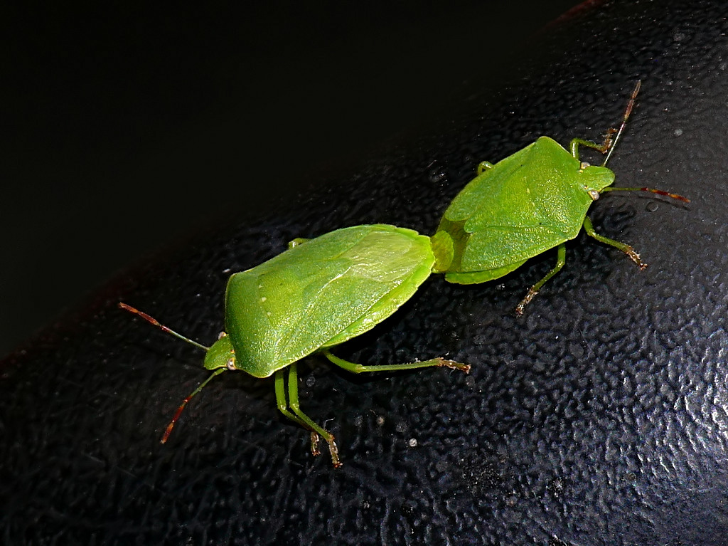 *** Spegni quella luce....***