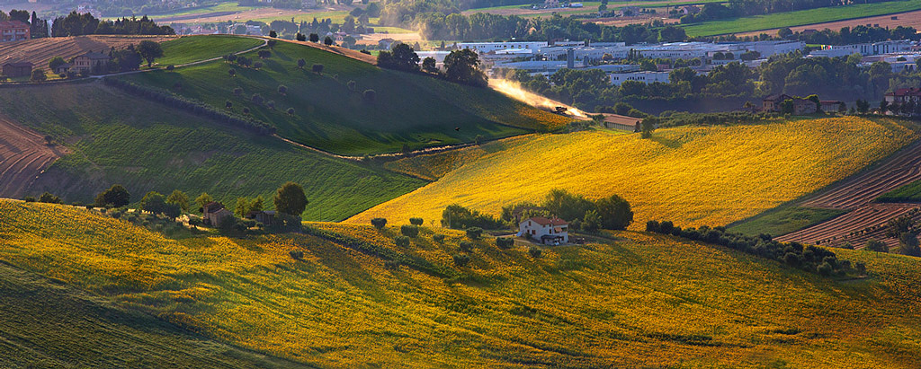 pennellate di luce e.......colore