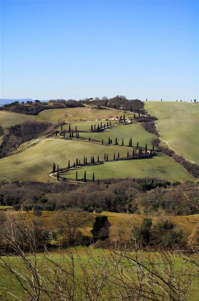 Colline Senesi