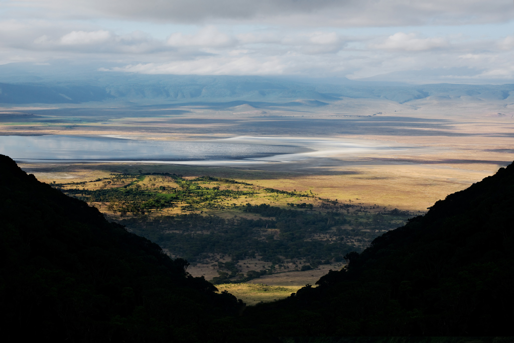 Ngorongoro