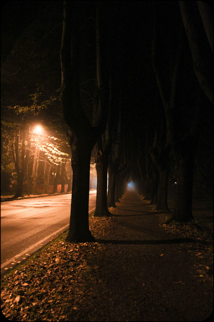 viale di notte
