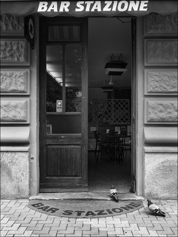 Piccioni Viaggiatori