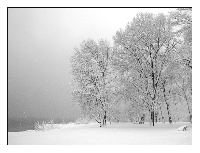 l'eleganza della neve