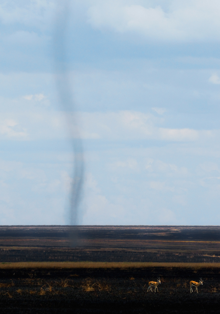 Tromba d'aria nel Serengeti