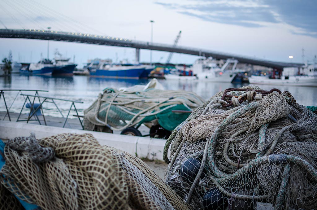 Aspettando il ritorno in mare