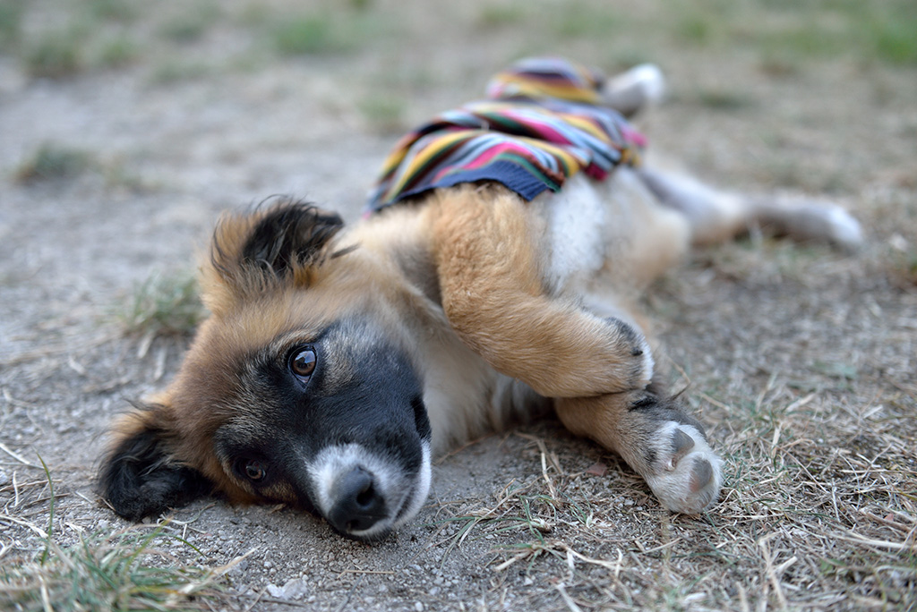 ... morbido e coccoloso