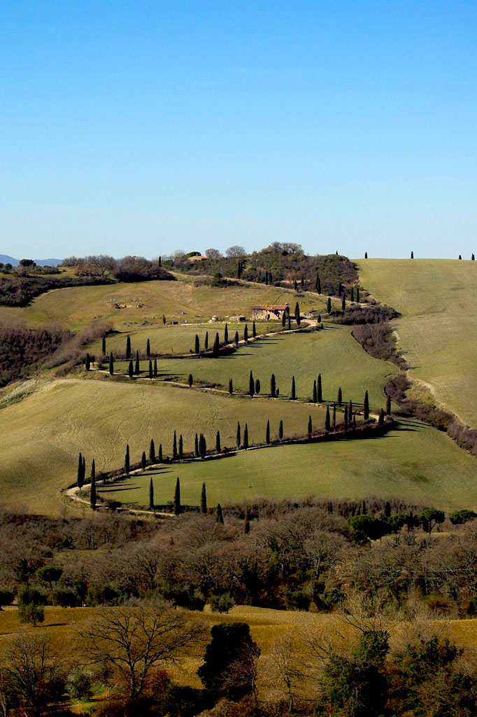 Ancora Colline Senesi