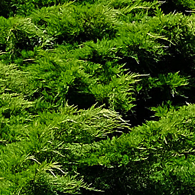 Maschera di contrasto crop