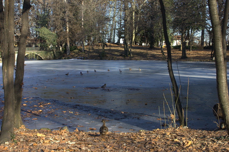 laghetto ghiacciato 2