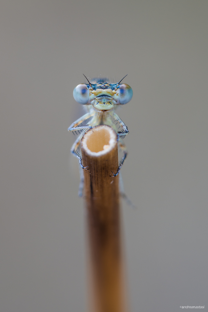 ..non posso farmi una canna!