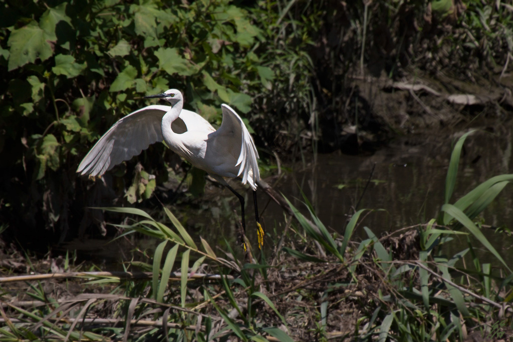 ..ti saluto e me ne vado!..
