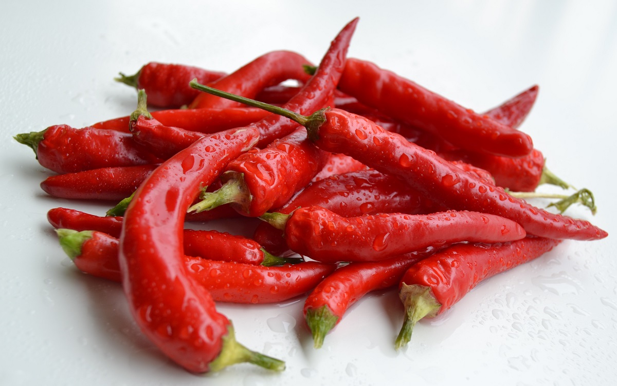 chili pepper