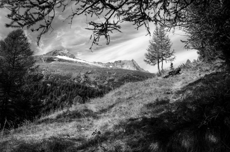 Dalle parti di Chiesa Val Malenco