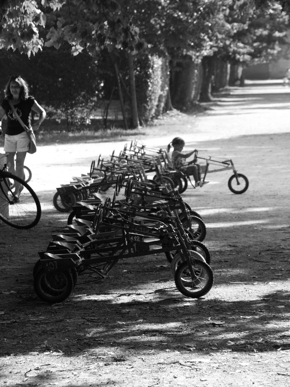 Tipicit� di Parma - I grilli