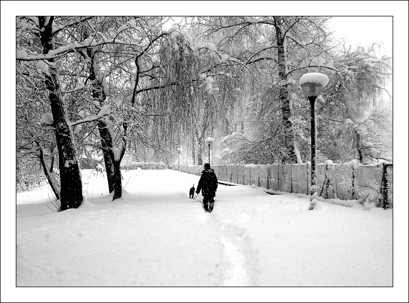 passeggiata nella neve