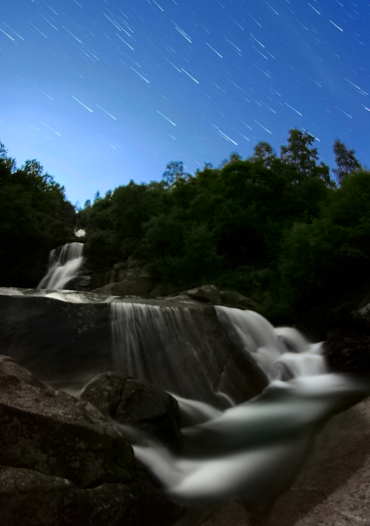 Notte di stelle cadenti