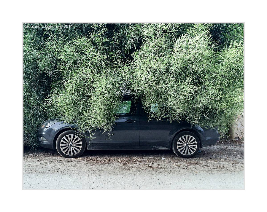 Porto Cesareo (LE) - 2014