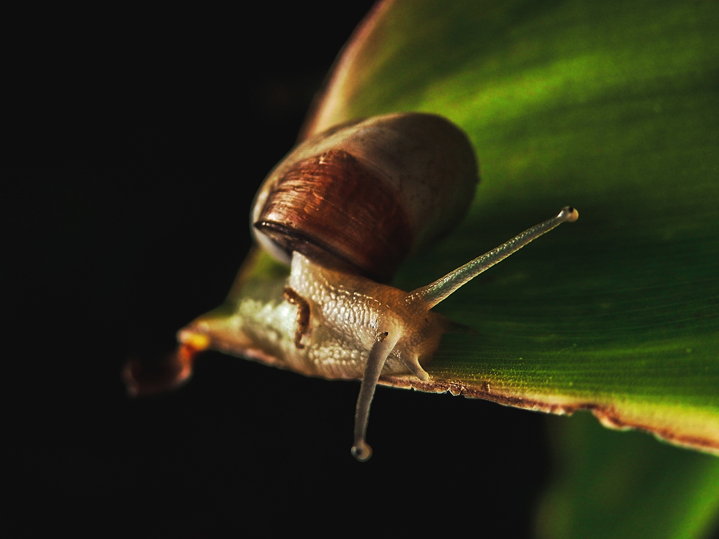Di corsa al casting di Ghizzi Panizza
