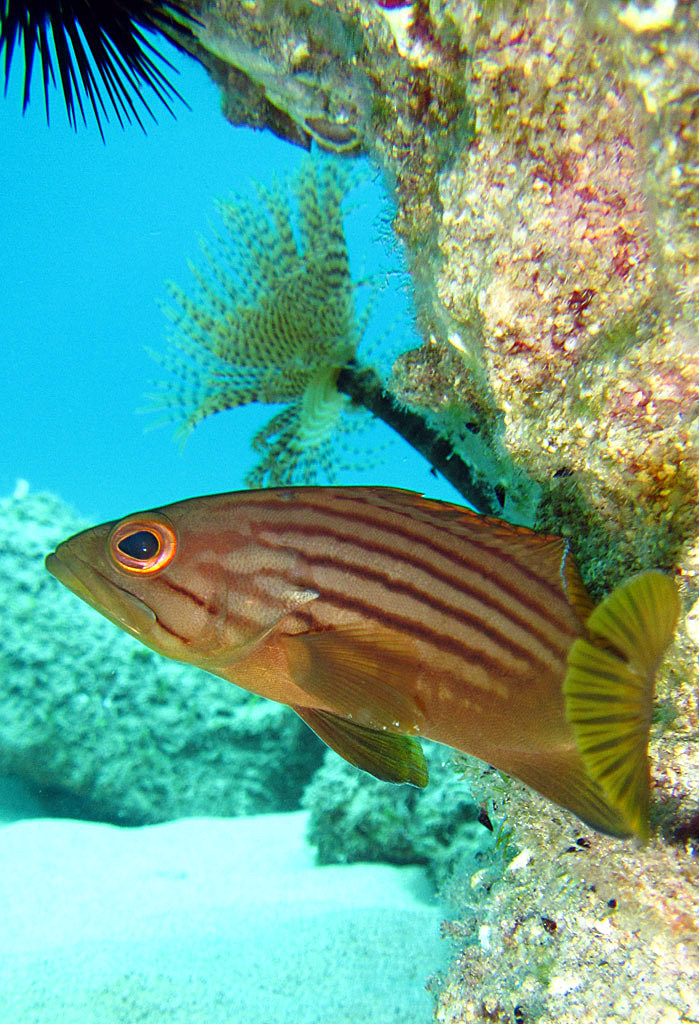 Incontri ravvicinati