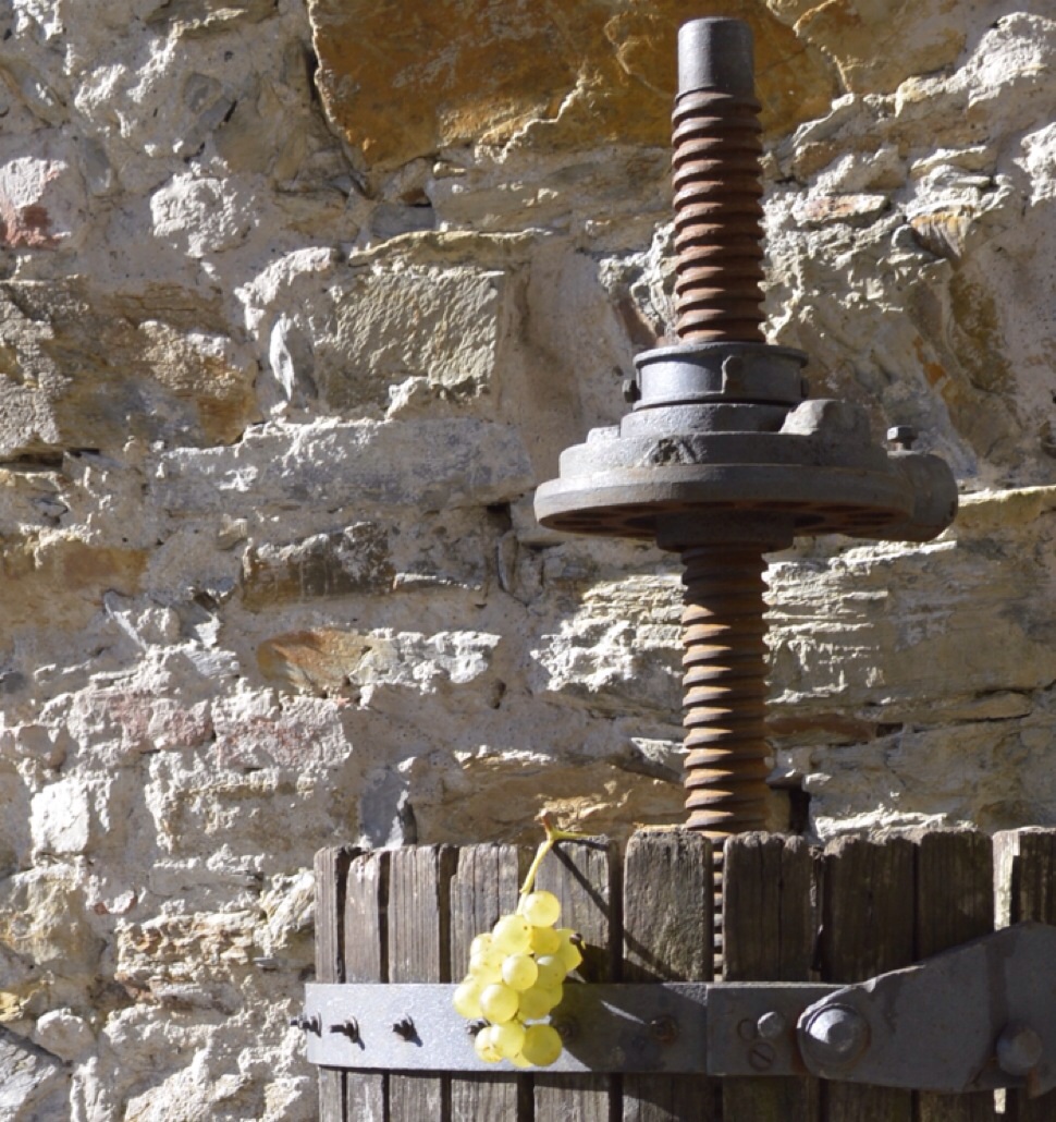 Fuga dalla vendemmia