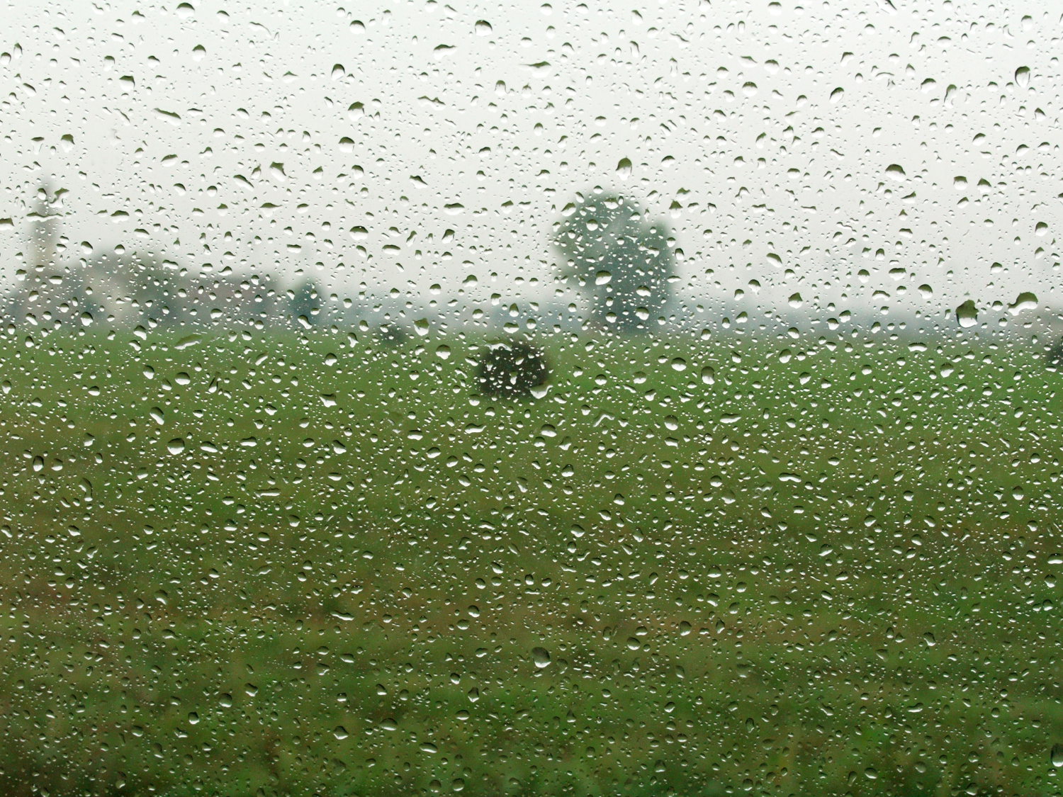 La pioggia in camagna