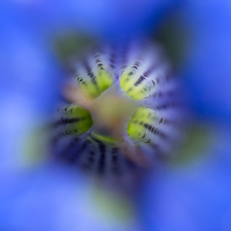 Uso spregiudicato del cestino