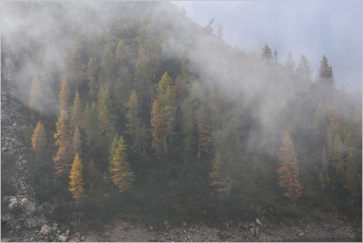 Sentinelle nella nebbia