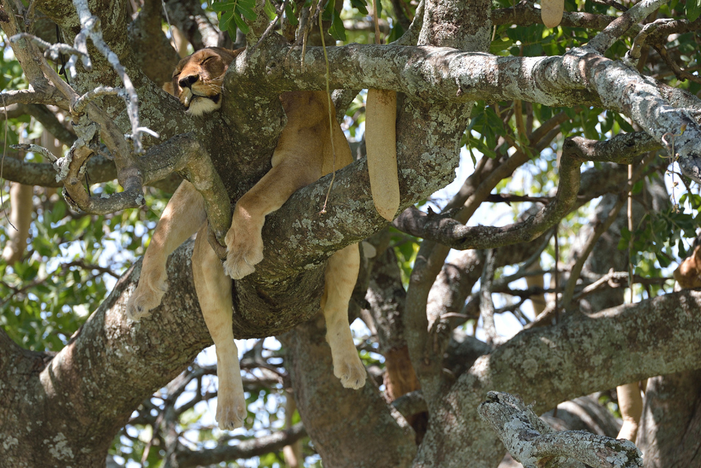 Questa vita mi distrugge!