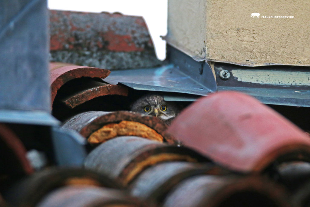 La mia casa � la tua casa. :-)