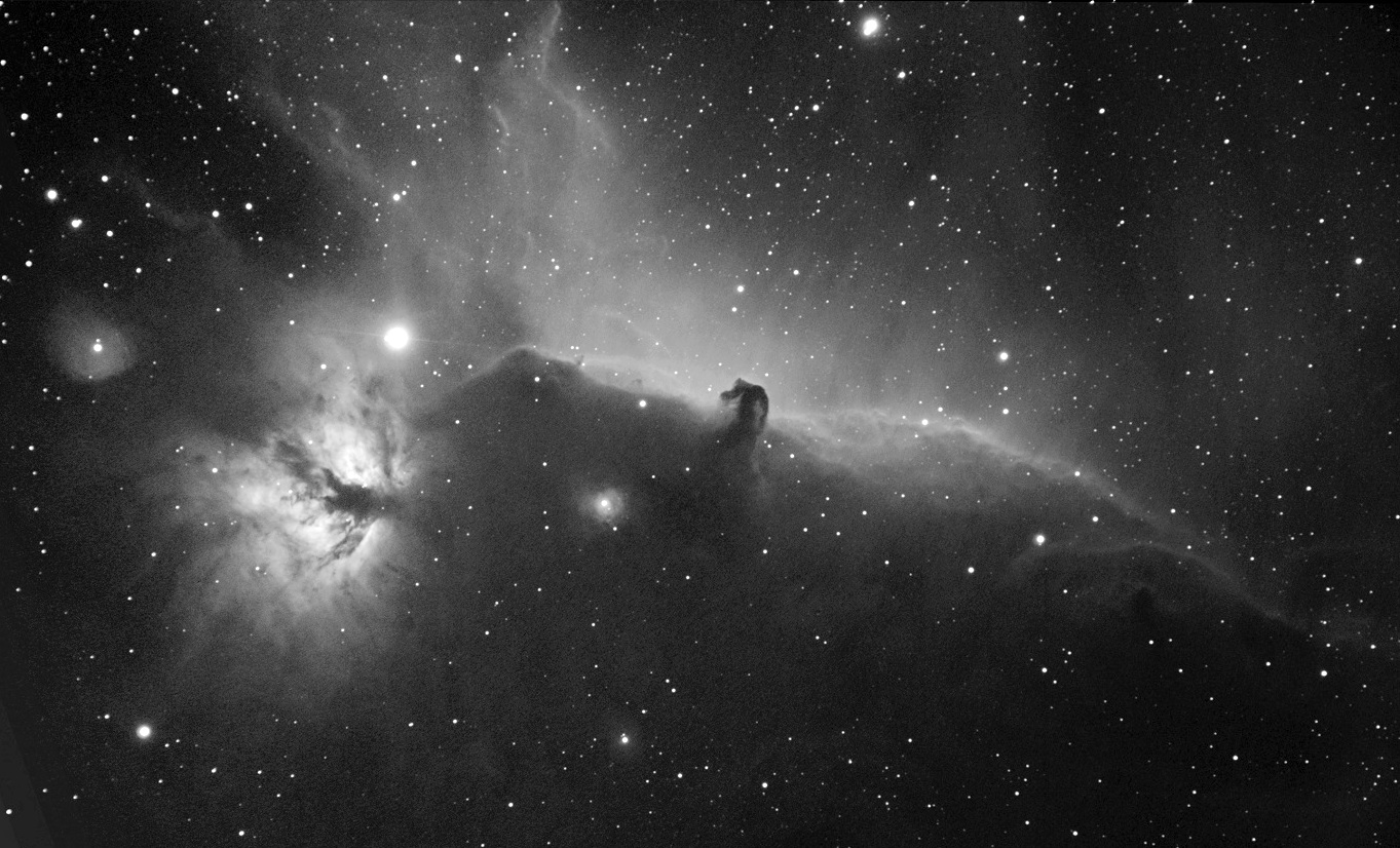 Nebulosa testa di Cavallo.