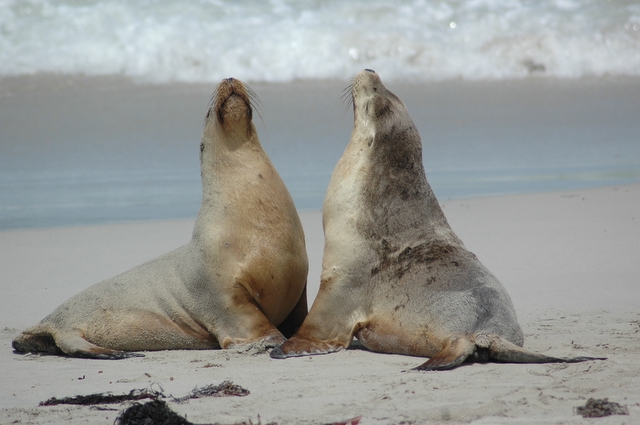 Ginnastica mattutina