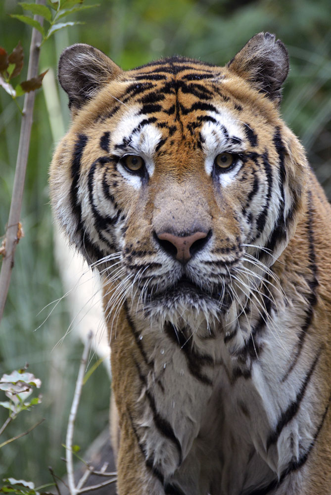 Giardino zoologico Pistoia 2