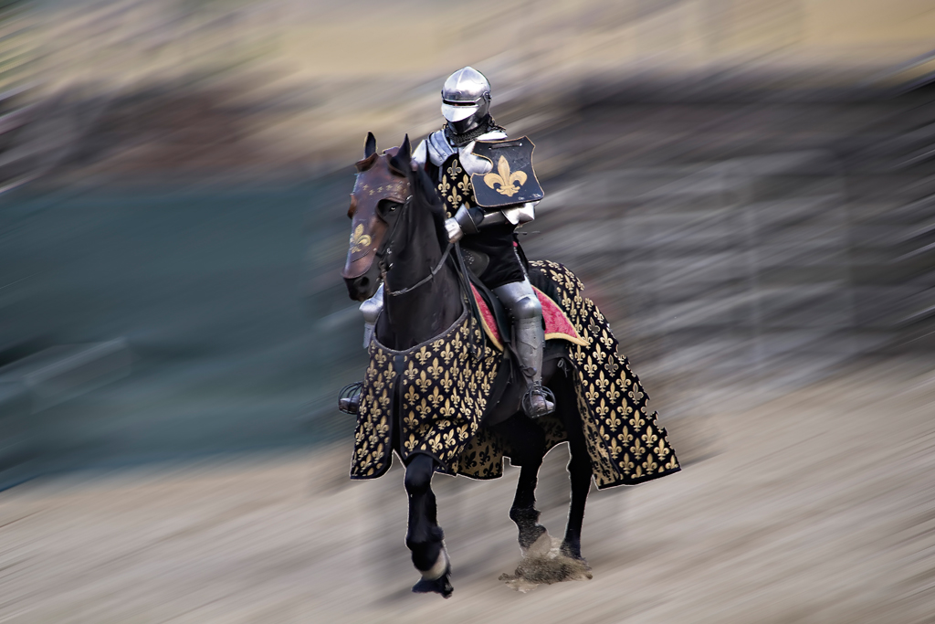 Le donne, i cavallier, l'arme, gli amori, le cortesie, l'audaci imprese io canto...